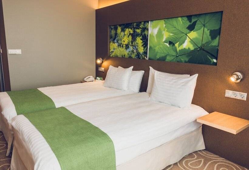 标准间, Holiday Inn Budapest Budaörs, An Ihg