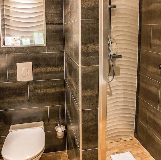 Люкс, Holiday Inn Budapest Budaörs, An Ihg