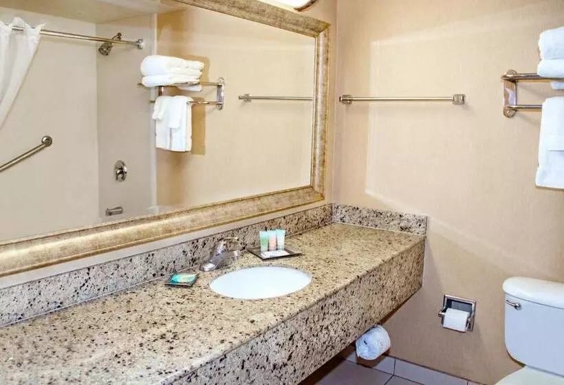 اتاق استاندارد با تخت بزرگ, Midtown Garden Inn Phoenix