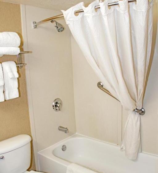 스탠다드 룸 킹사이즈 침대, Midtown Garden Inn Phoenix