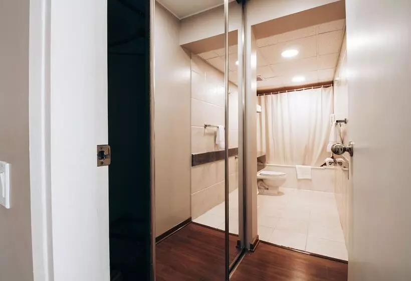 سوئیت جونیور با تخت بزرگ, Suites Del Bosque