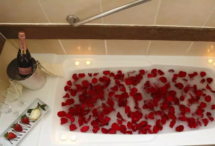 سوئیت جونیور با تخت بزرگ, Suites Del Bosque