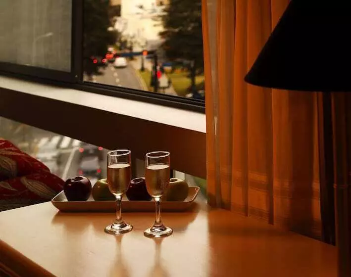 سوئیت جونیور با تخت بزرگ, Suites Del Bosque