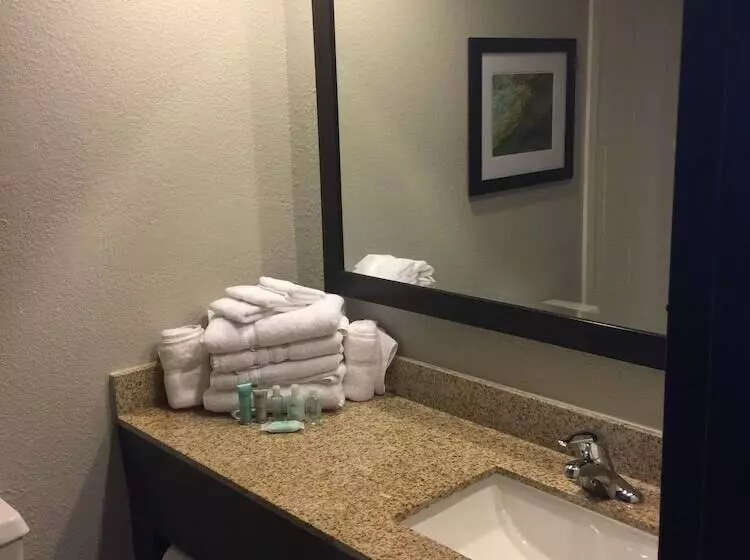 デラックスルーム, Wyndham Garden Hotel   Jacksonville
