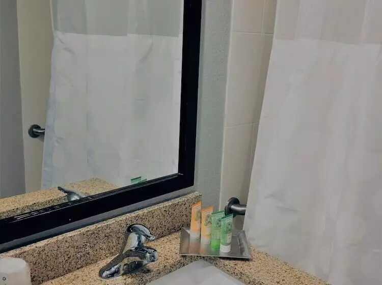 デラックスルーム, Wyndham Garden Hotel   Jacksonville