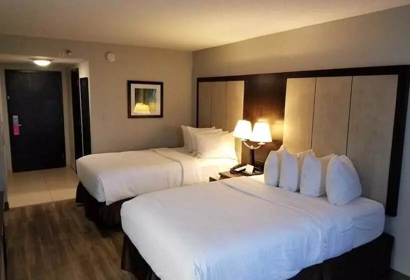 デラックスルーム, Wyndham Garden Hotel   Jacksonville