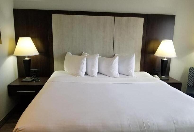 带大床的标准间, Wyndham Garden Hotel   Jacksonville