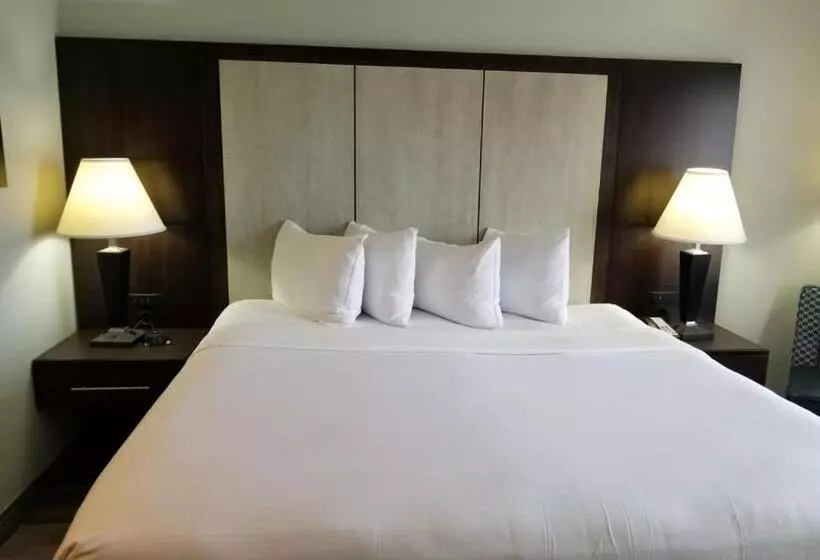 キングサイズベッドのスタンダードルーム, Wyndham Garden Hotel   Jacksonville