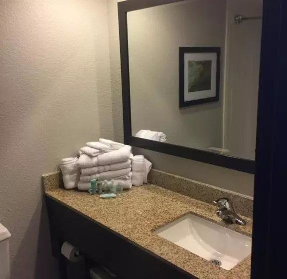 キングサイズベッドのスタンダードルーム, Wyndham Garden Hotel   Jacksonville