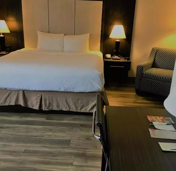 キングサイズベッドのスーペリアルーム, Wyndham Garden Hotel   Jacksonville