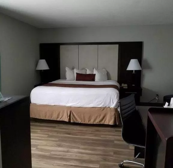キングサイズベッドのスーペリアルーム, Wyndham Garden Hotel   Jacksonville