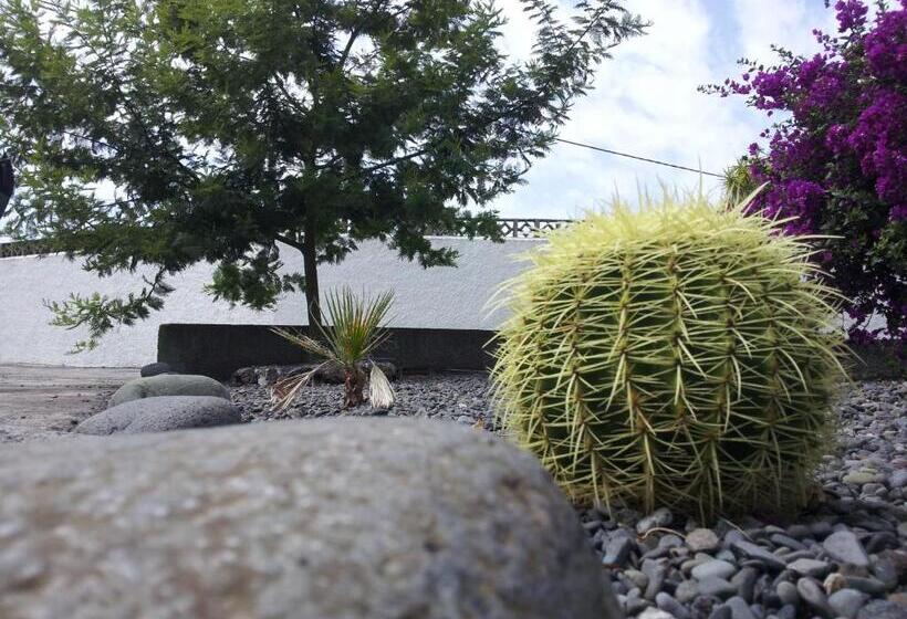 带2个卧室的标准洋房, Los Guanches Bungalows