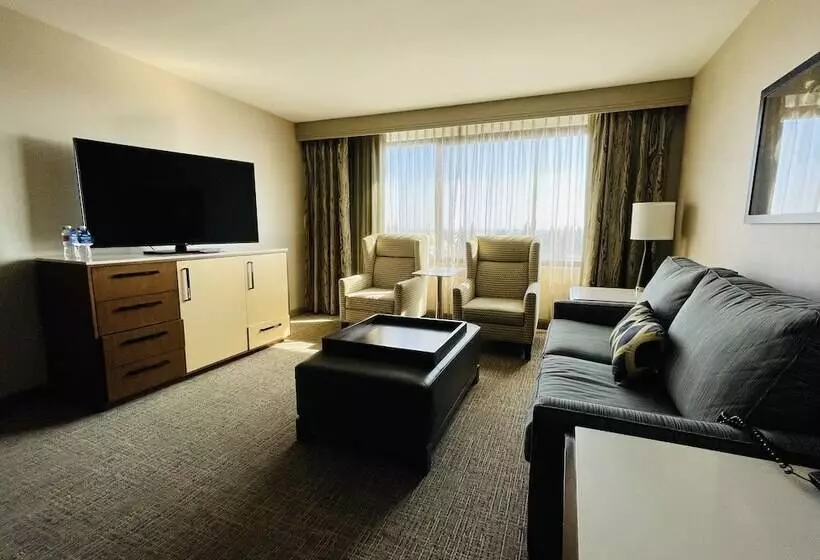 سوئیت با تخت بزرگ, Doubletree By Hilton Fresno Convention Center