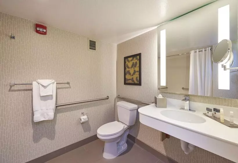 اتاق استاندارد با تخت بزرگ برای معلولان, Doubletree By Hilton Fresno Convention Center