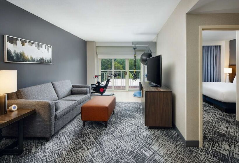 سوییت, Hilton Charlotte Airport