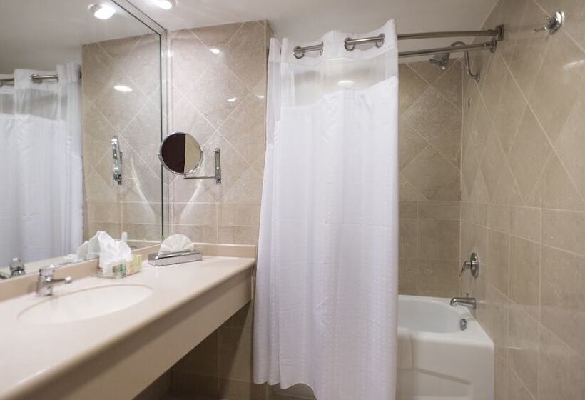 اتاق استاندارد, Holiday Inn Convention Center, An Ihg