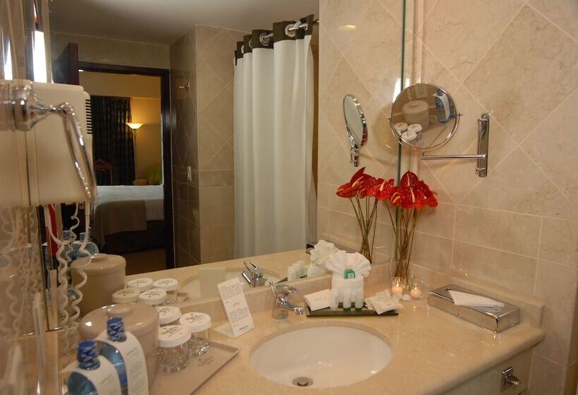 اتاق استاندارد, Holiday Inn Convention Center, An Ihg