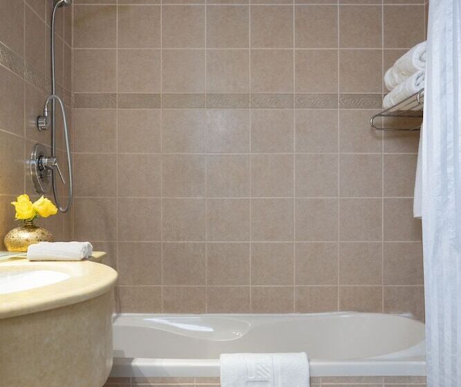 スタンダードルーム, Ruth Safed By Dan Hotels