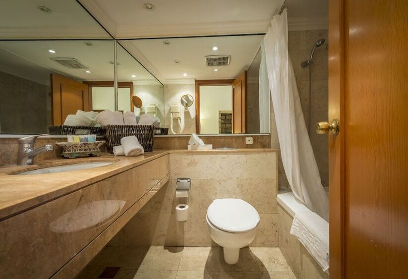 スタンダードルーム, Ruth Safed By Dan Hotels