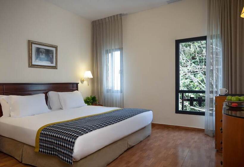 スタンダードルーム, Ruth Safed By Dan Hotels