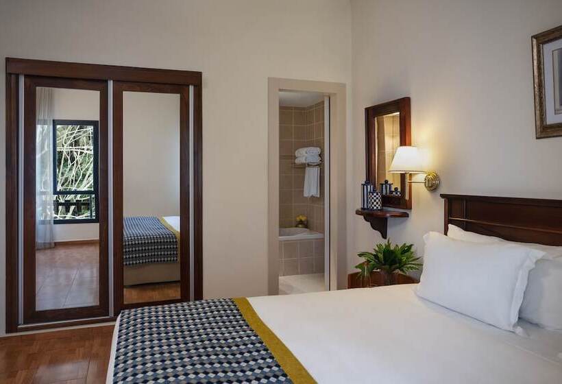 スタンダードルーム, Ruth Safed By Dan Hotels