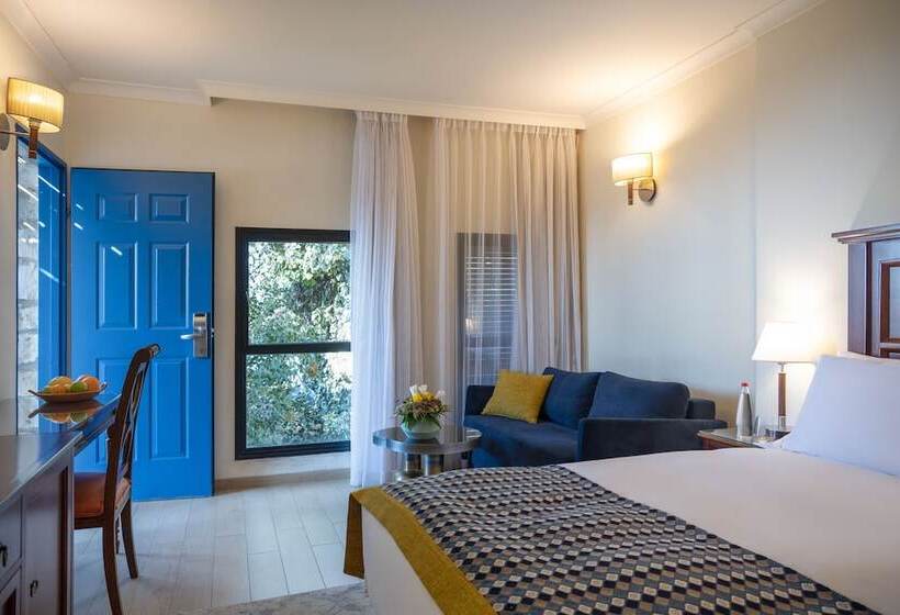 スタンダードルーム, Ruth Safed By Dan Hotels