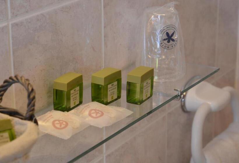 Номер Комфорт, The Originals City, Hôtel Le Cheval Rouge, Tours Ouest