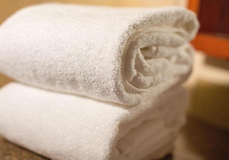 带大床的标准间, The Paramount