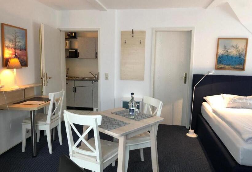 带1个卧室带花园景观的公寓, Aparthotel Stibbe