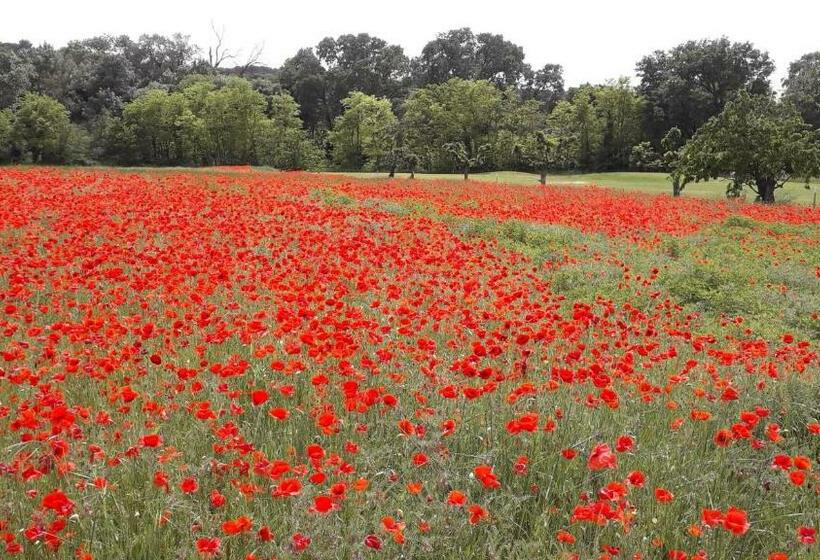 ガーデンビュースタンダードルーム, Golf Club D'uzes