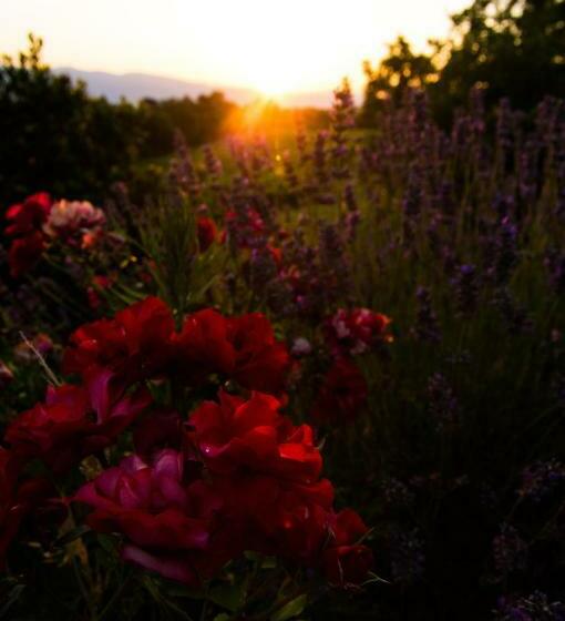 침실 1개 아파트, Agriturismo Podere Luisa