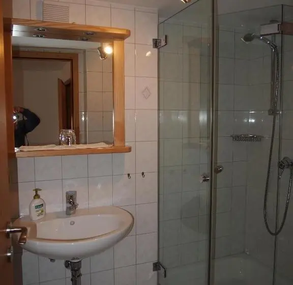 Standard Yhden Hengen Huone, Pension Wagnerhof
