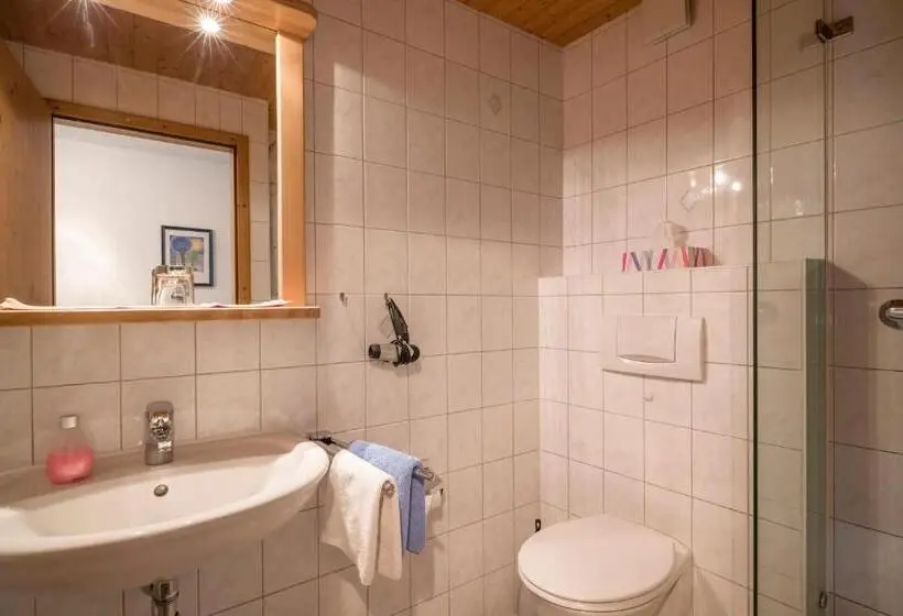 Standard Yhden Hengen Huone, Pension Wagnerhof