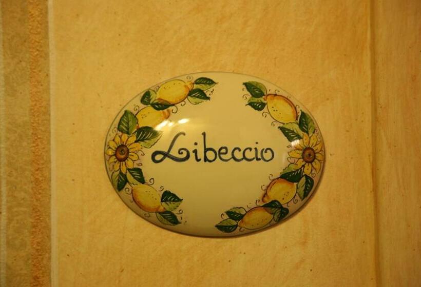 غرفة قياسية, Calì Nitta