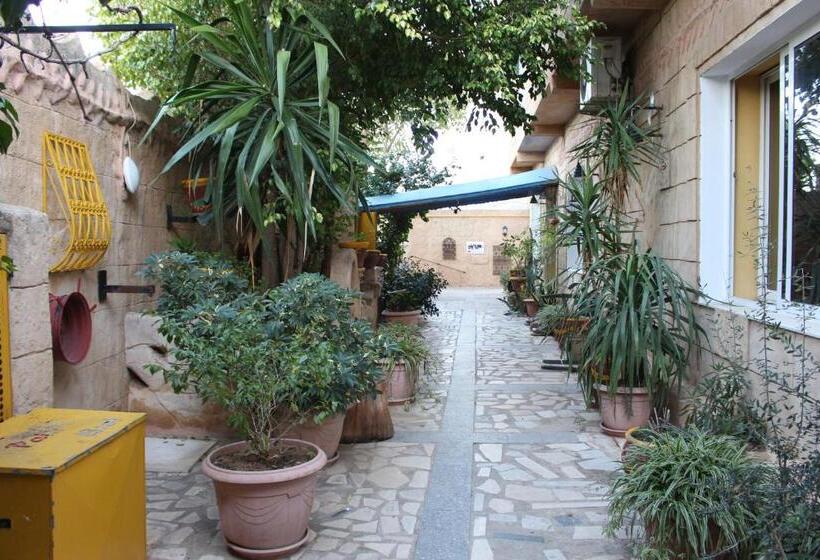 اتاق استاندارد, Donia