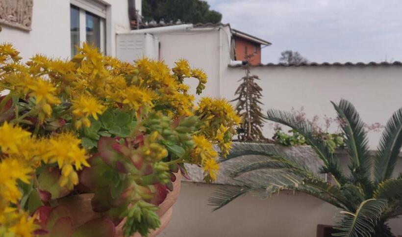 חדר סטנדרט חדר אמבטיה משותף, Hillary House