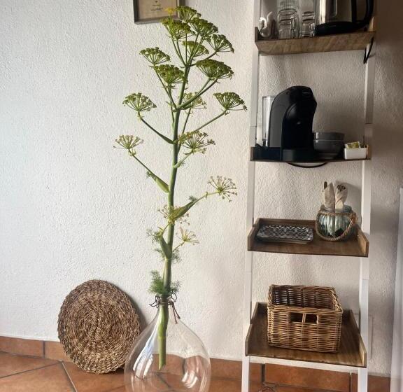 Номер Стандарт Вид на Сад, Is Scabas Guestrooms