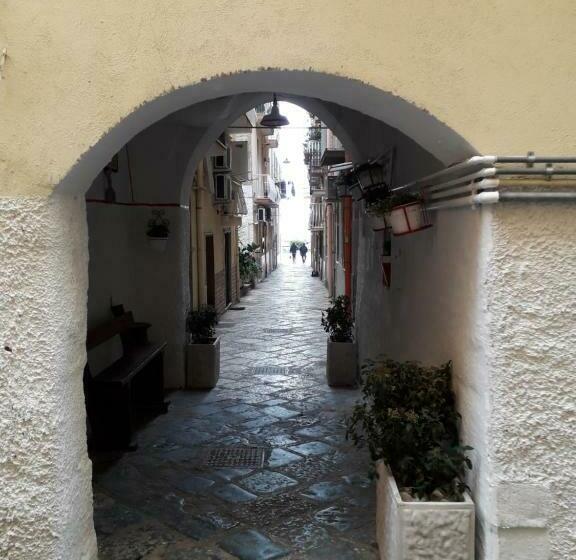 Семейное Студио, Vico22