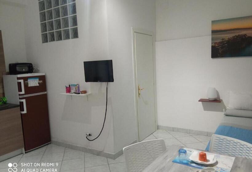 Семейное Студио, Vico22