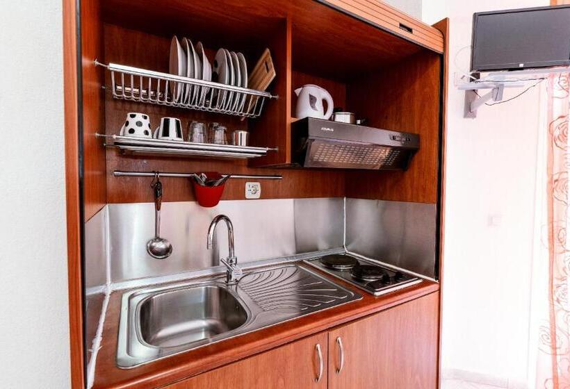 إستديو قياسى مزود بشرفة, Stefanidis Apartments