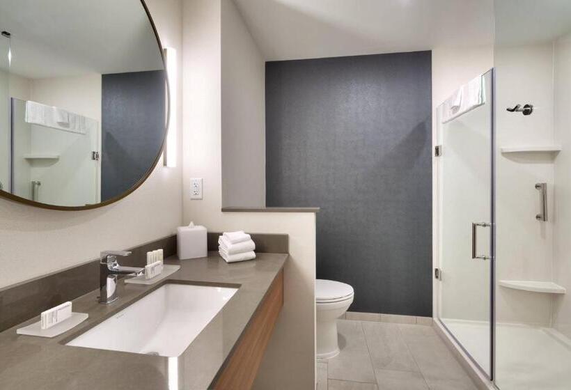 غرفة قياسية سرير كينج, Fairfield Inn & Suites By Marriott Livingston Yellowstone