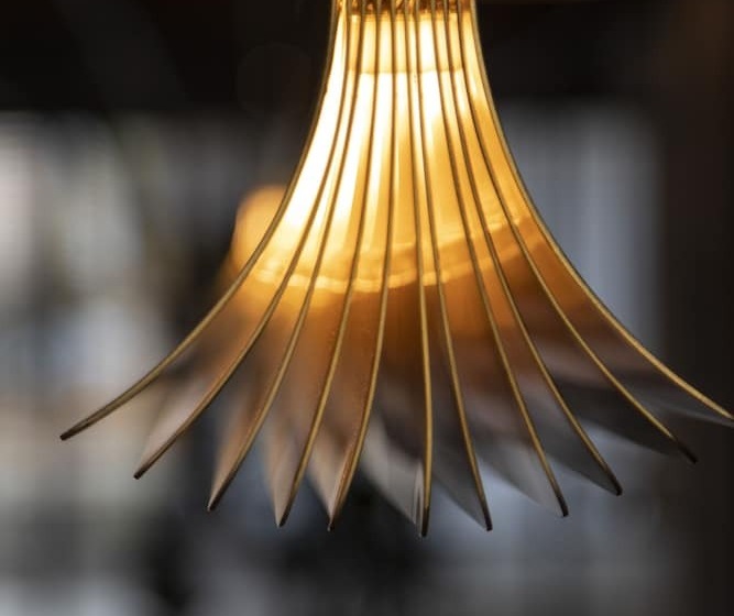 اتاق لوکس, Paxton Barcelona