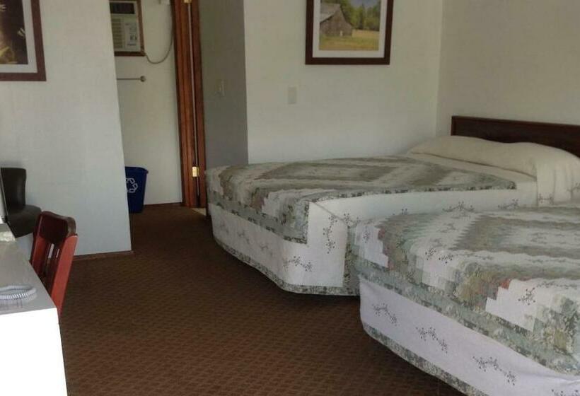 Номер Стандарт, Dutch Cup Motel
