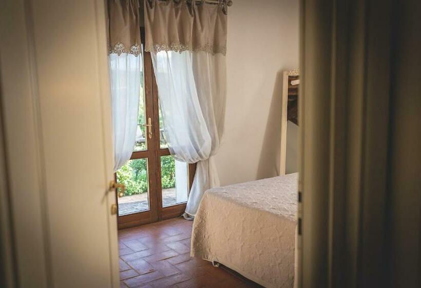 Номер Стандарт, Gatto Rosso