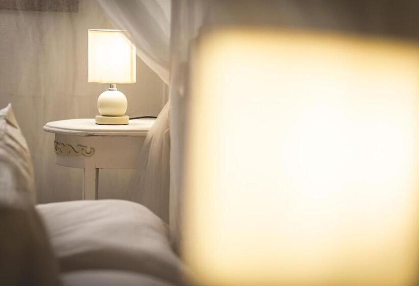 Номер Стандарт, Gatto Rosso