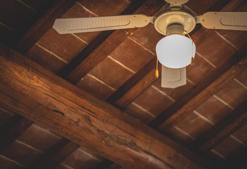 Номер Стандарт, Gatto Rosso