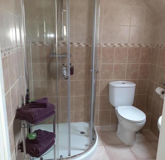 Стандартный Номер Кровать Кинг, Trien Lodge