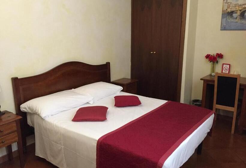اتاق اکونومی, Bologna