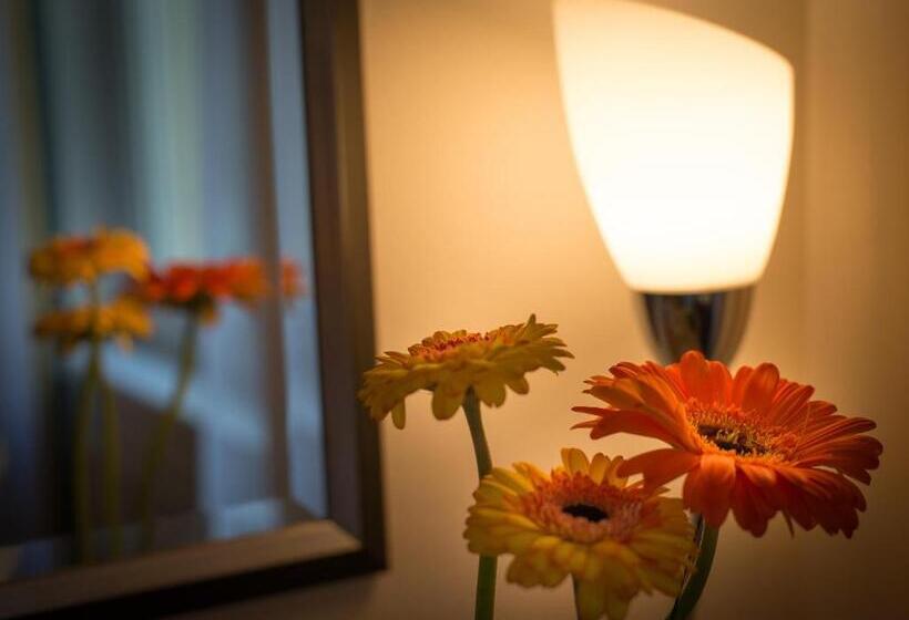 اتاق استاندارد, Boltzmann