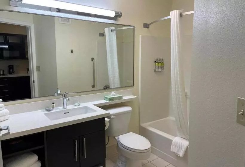 استودیوی استاندارد, Candlewood Suites East Lansing, An Ihg